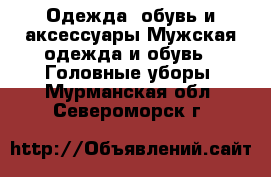 Одежда, обувь и аксессуары Мужская одежда и обувь - Головные уборы. Мурманская обл.,Североморск г.